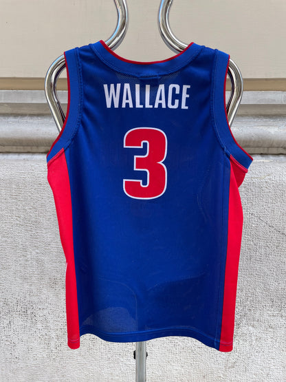 Champion NBA Detroit Pistons Rasheed Wallace Jersey